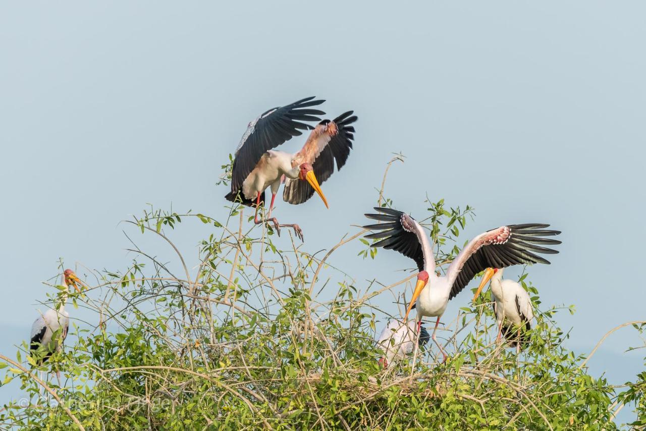 Lake Natron Maasai Giraffe Eco Lodge And Camping Mtowabaga Bagian luar foto
