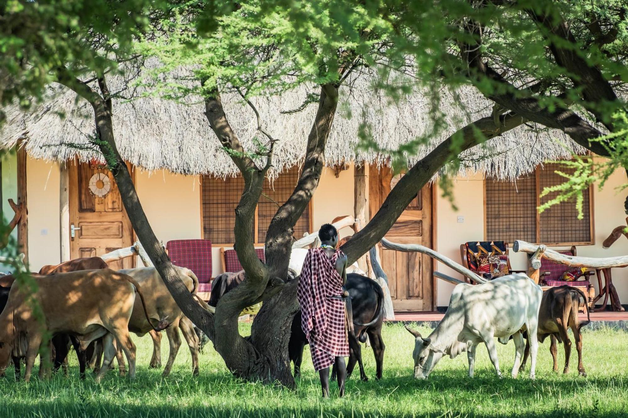 Lake Natron Maasai Giraffe Eco Lodge And Camping Mtowabaga Bagian luar foto